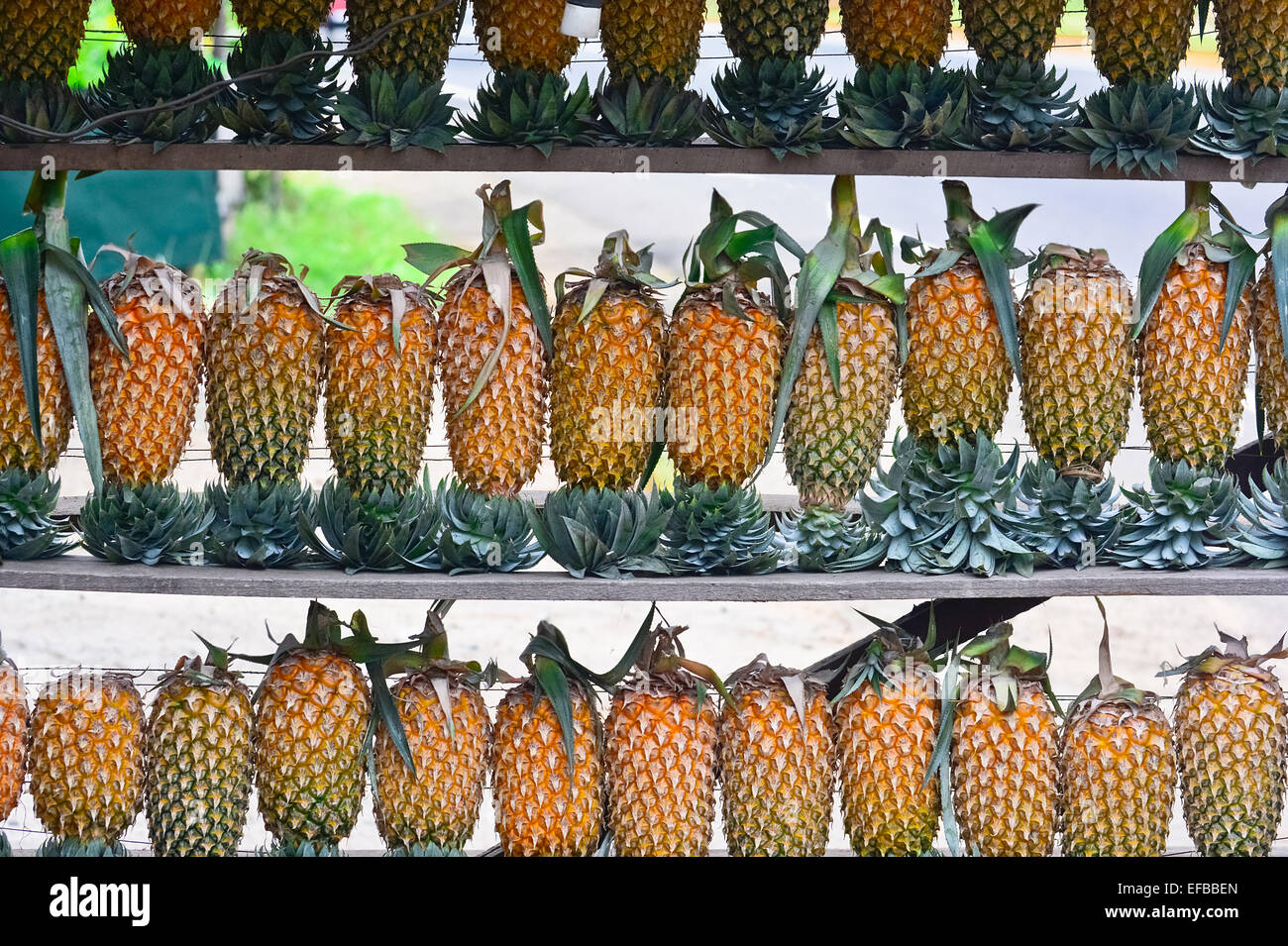 Ananas frutta Display per vendere su piccola strada In Malwana Foto Stock
