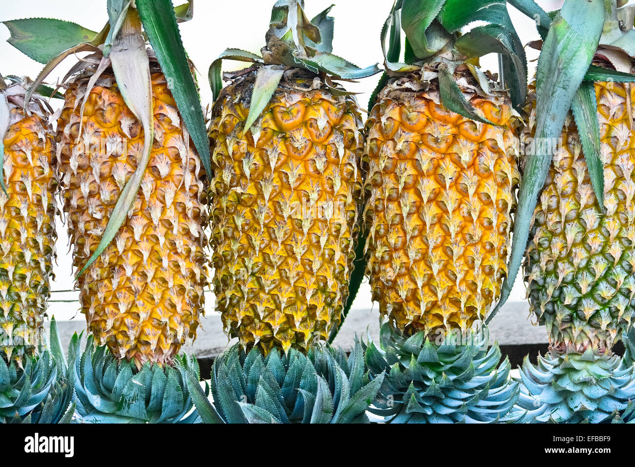 Ananas frutta Display per vendere su piccola strada In Malwana Foto Stock