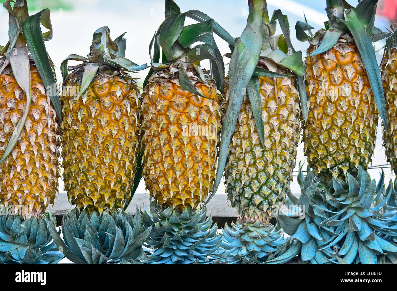 Ananas frutta Display per vendere su piccola strada In Malwana Foto Stock