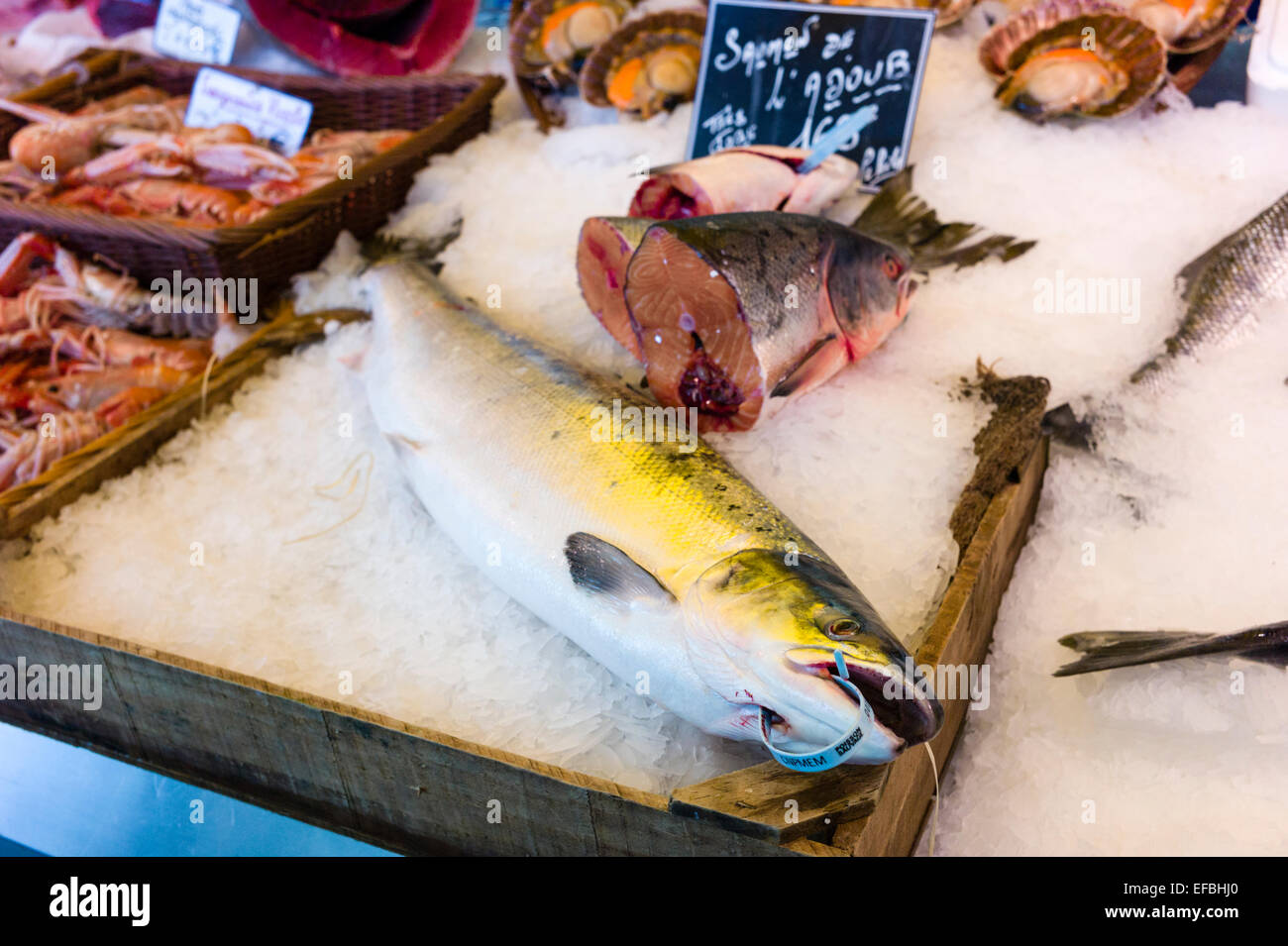 Pesce fresco sul ghiaccio nel mercato francese a Parigi Francia Foto Stock