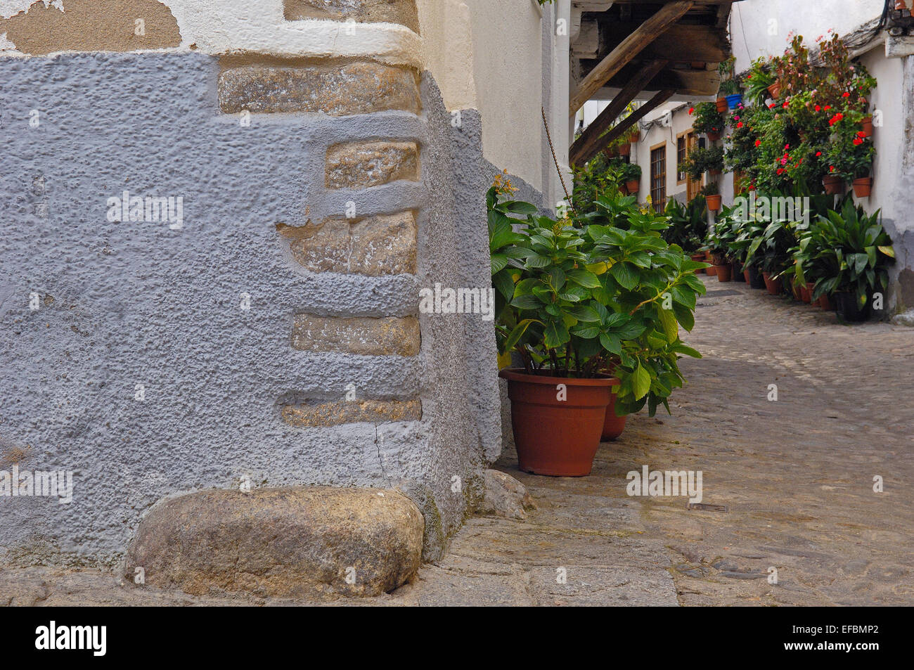 Hervas. Quartiere ebraico, Ambroz Valley, provincia di Cáceres, Estremadura, Spagna. Foto Stock