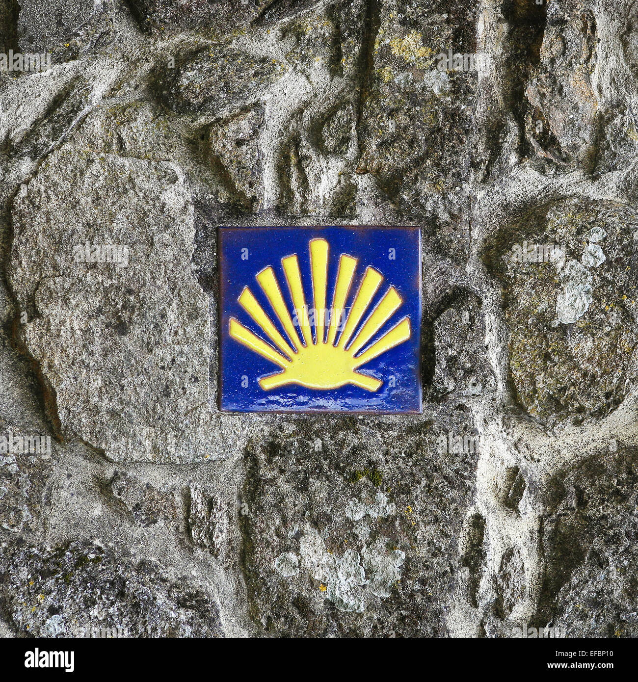 Pellegrino la Shell (smerlo), il simbolo del cammino di san Giacomo di Tui, Galizia, Spagna. Foto Stock