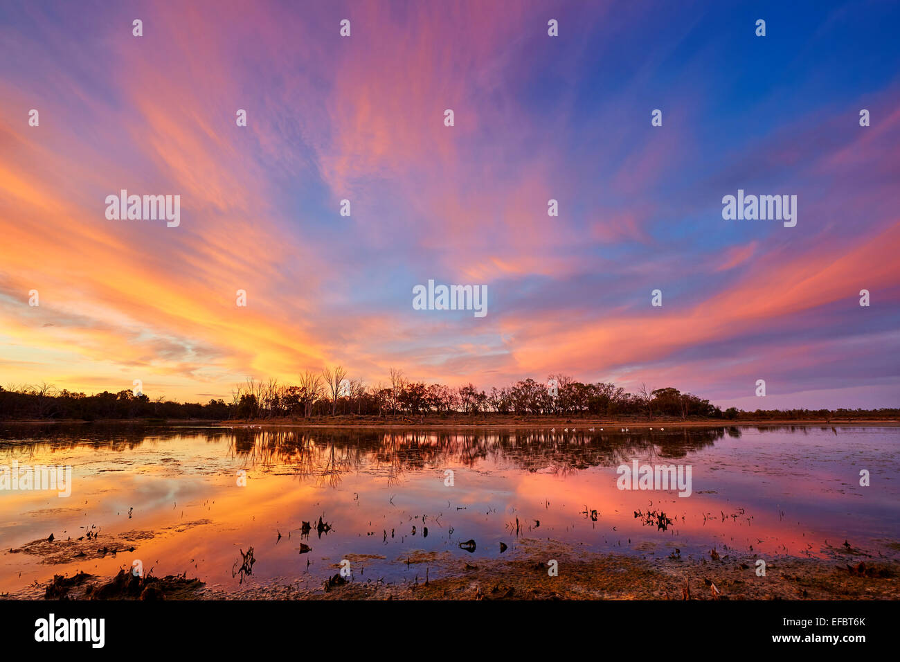 Sunsetting su un piccolo billabong accanto al fiume Murray vicino Merbein. Foto Stock