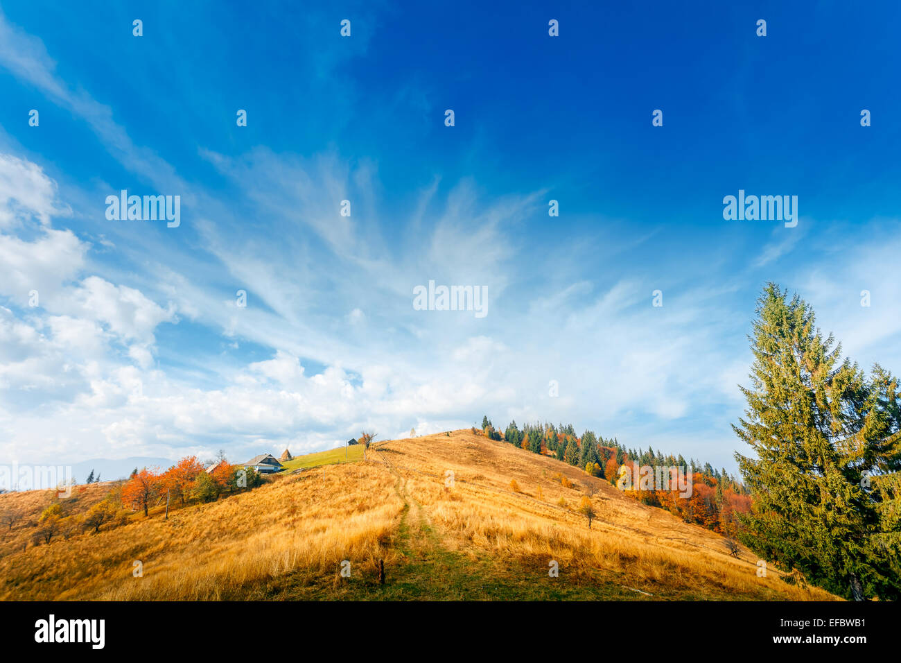 Colorato paesaggio autunnale Foto Stock