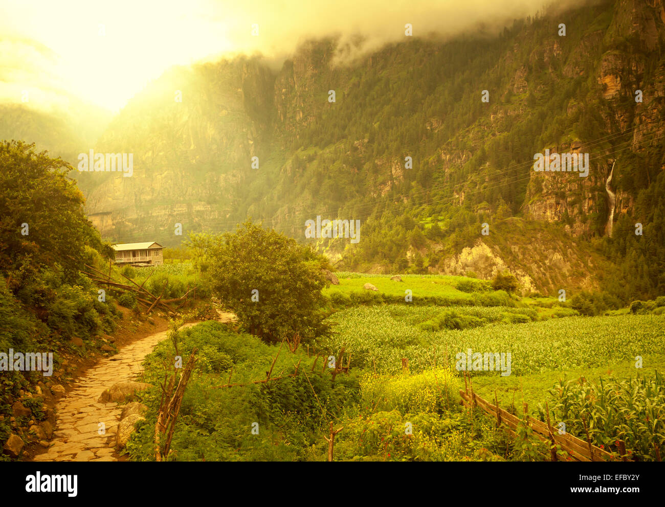 Bellissimo paesaggio asiatico Foto Stock