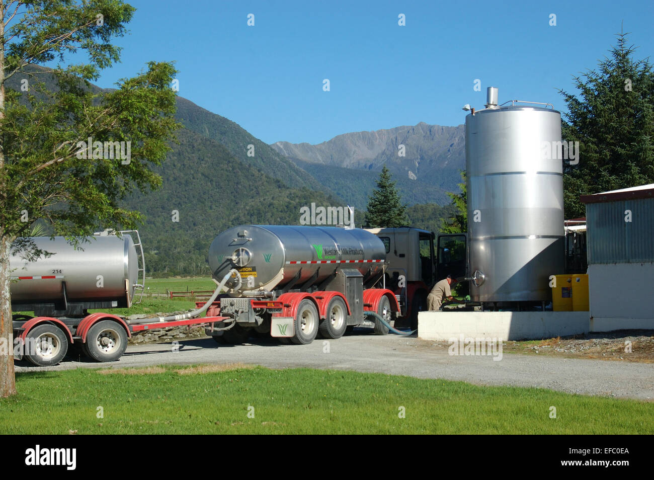 Una petroliera di latte dal Westland latte Cooperativa Agricoltori raccoglie il latte dal West Coast latteria, Isola del Sud, Nuova Zelanda Foto Stock