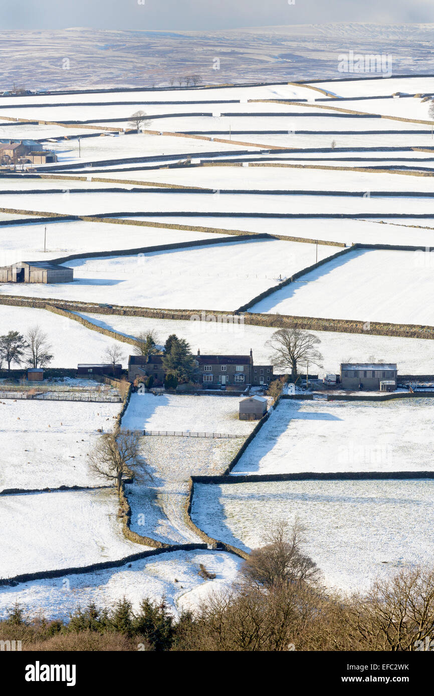 Nidderdale aziende agricole, i campi e i muri in pietra a secco a metà inverno, North Yorkshire. Foto Stock