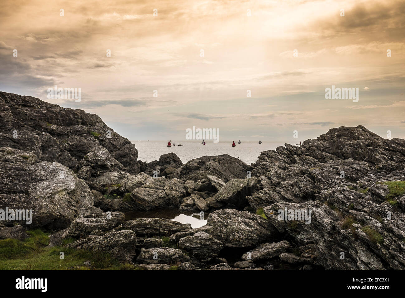 Barche sul mare di Anglesey, Galles Foto Stock