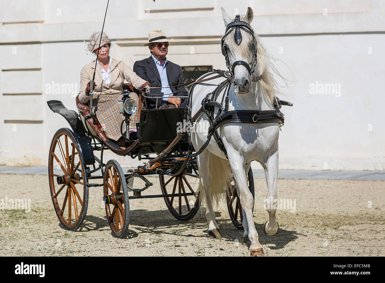 Concorso internazionale per carrelli tradizionali "La Venaria Reale", carrello:Pistoiese, cavallo:unico di pura razza spagnola Foto Stock