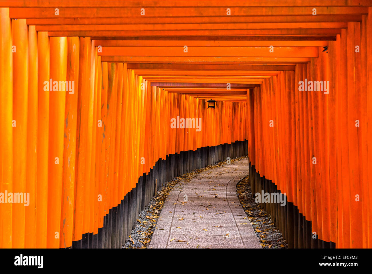 Fushimi Inari Taisha a Kyoto, Giappone Foto Stock