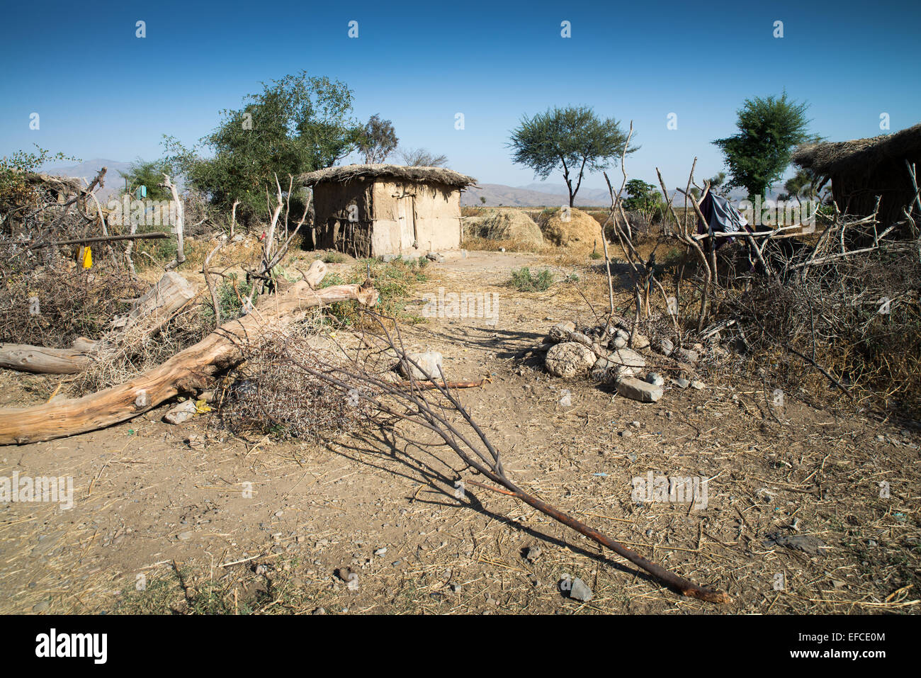 Casa rurale nel paesaggio, Abala, Afar, Etiopia, Africa Foto Stock