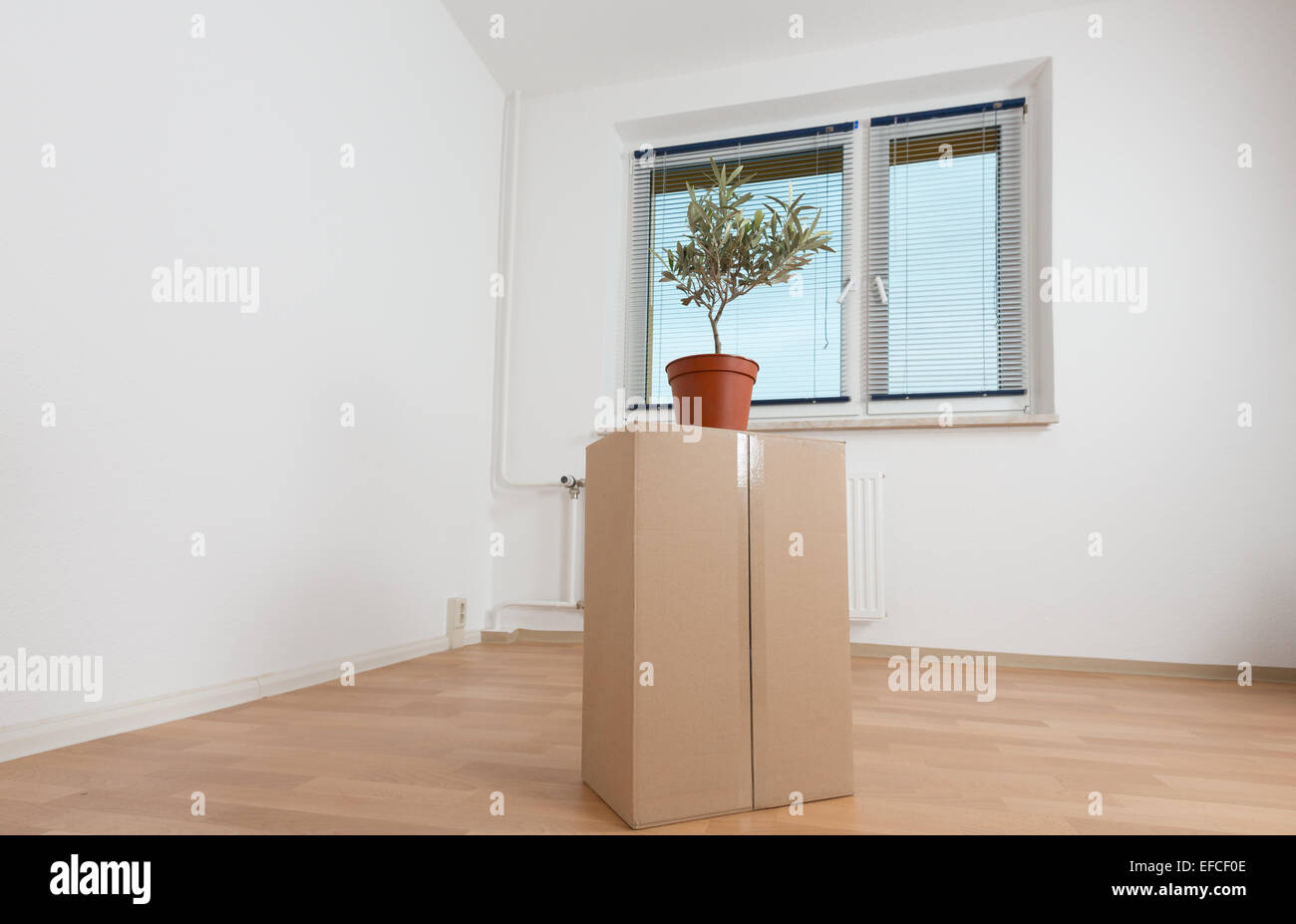 Scatole di cartone in un appartamento vuoto. Il passaggio a un nuovo appartamento lato carrello Foto Stock