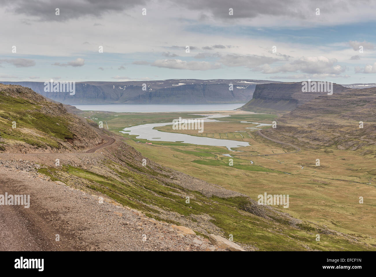 Islanda Westfjords Látrabjarg Cliff road di puffin scogliere Foto Stock
