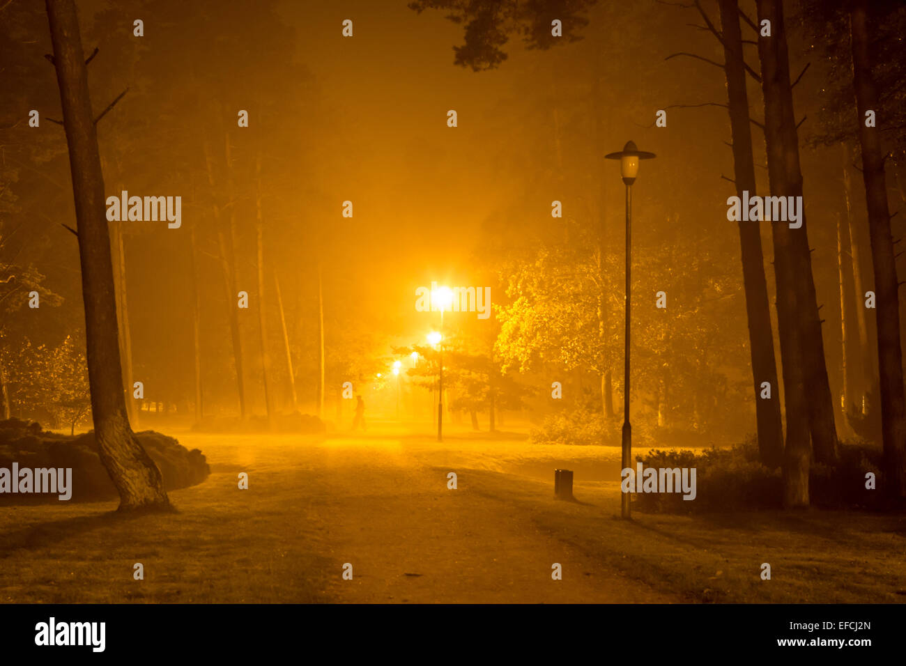 Suburban Lettonia di notte Foto Stock