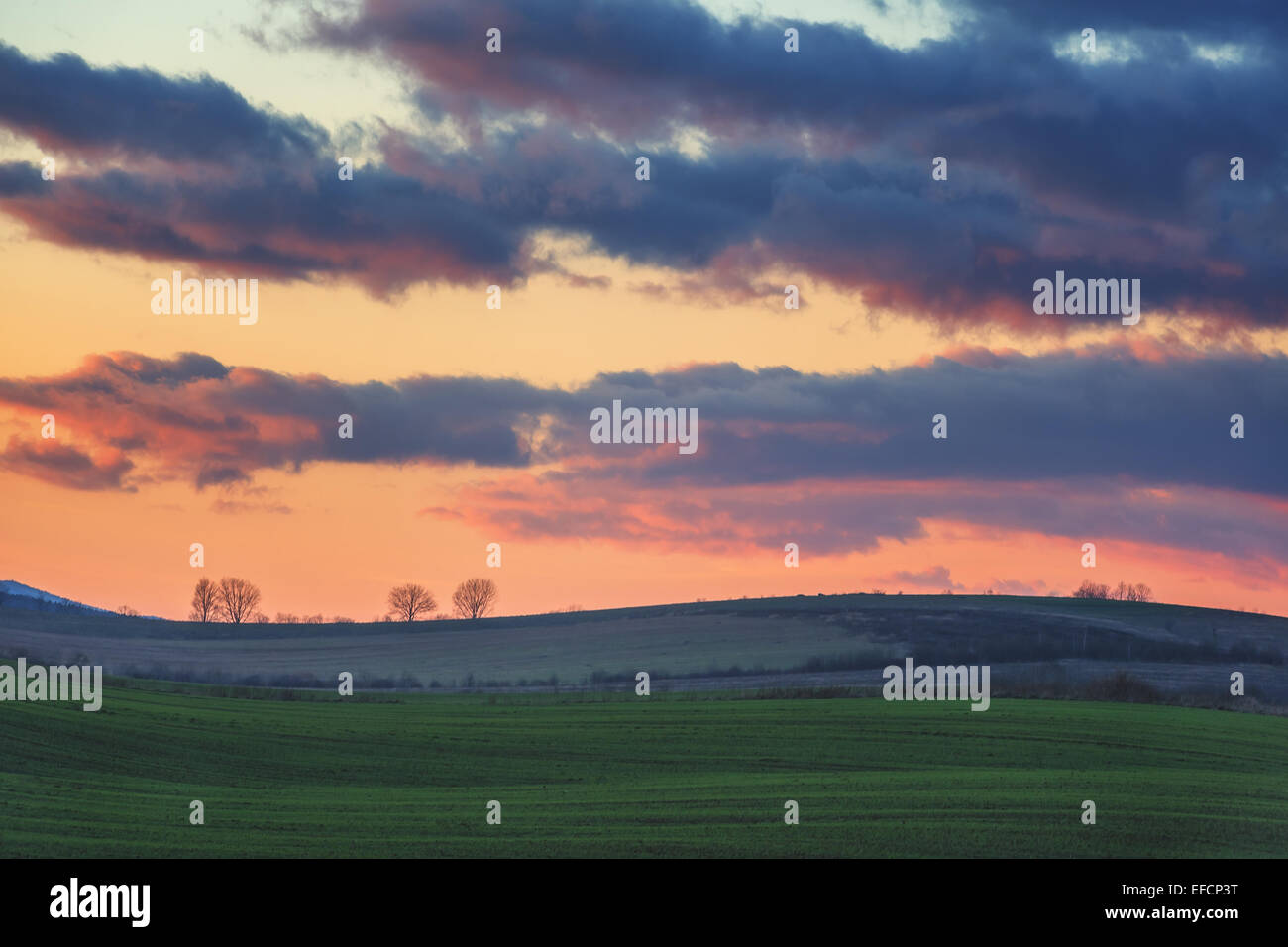 Campo di grano e cielo molto nuvoloso Foto Stock