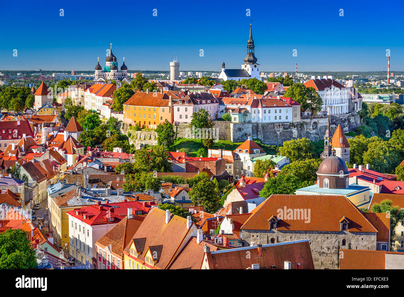Tallinn, Estonia, città vecchia skyline di Toompea Hill. Foto Stock