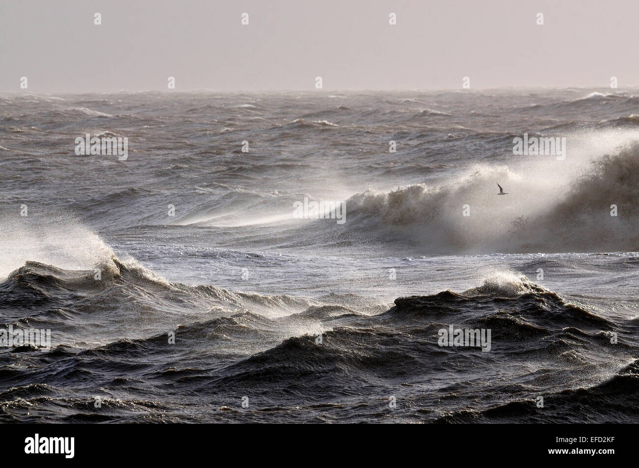 Mare mosso con grandi onde e spray REGNO UNITO Foto Stock