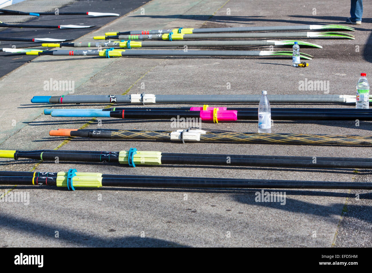 Sport acquatici al Lago Baldeneysee Essen, canottaggio, formazione Foto Stock