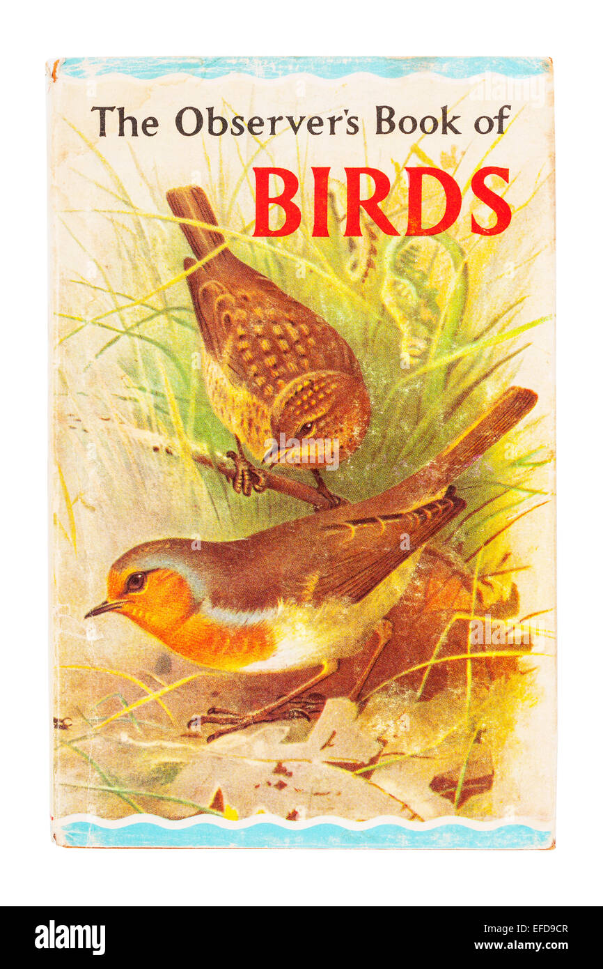 L'osservatore ha il libro di uccelli prenota su sfondo bianco Foto Stock