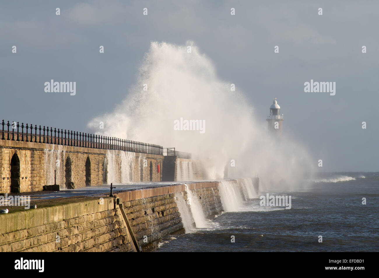 Tynemouth, UK. Il 1° febbraio 2015. Forti venti del nord invia onde si infrangono alte oltre il molo di Tynemouth all'entrata del fiume Tyne. (C) Washington Imaging/Alamy Live News Foto Stock