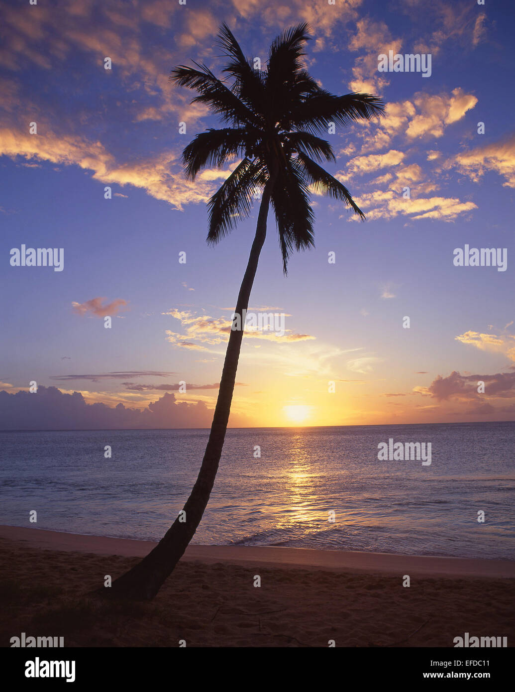 Tramonto tropicale, Spiaggia di legno scuro, Saint Mary's Parish, Antigua Antigua e Barbuda, Piccole Antille, dei Caraibi Foto Stock