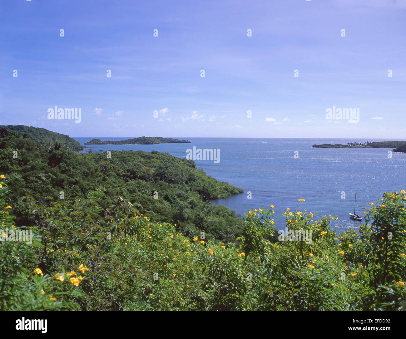 Costa est, Saint Andrew's Parish, Grenada, Piccole Antille, dei Caraibi Foto Stock