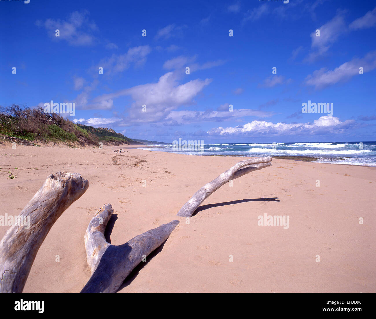 East Coast Beach, Betsabea, la parrocchia di San Giuseppe, Barbados, Piccole Antille, dei Caraibi Foto Stock