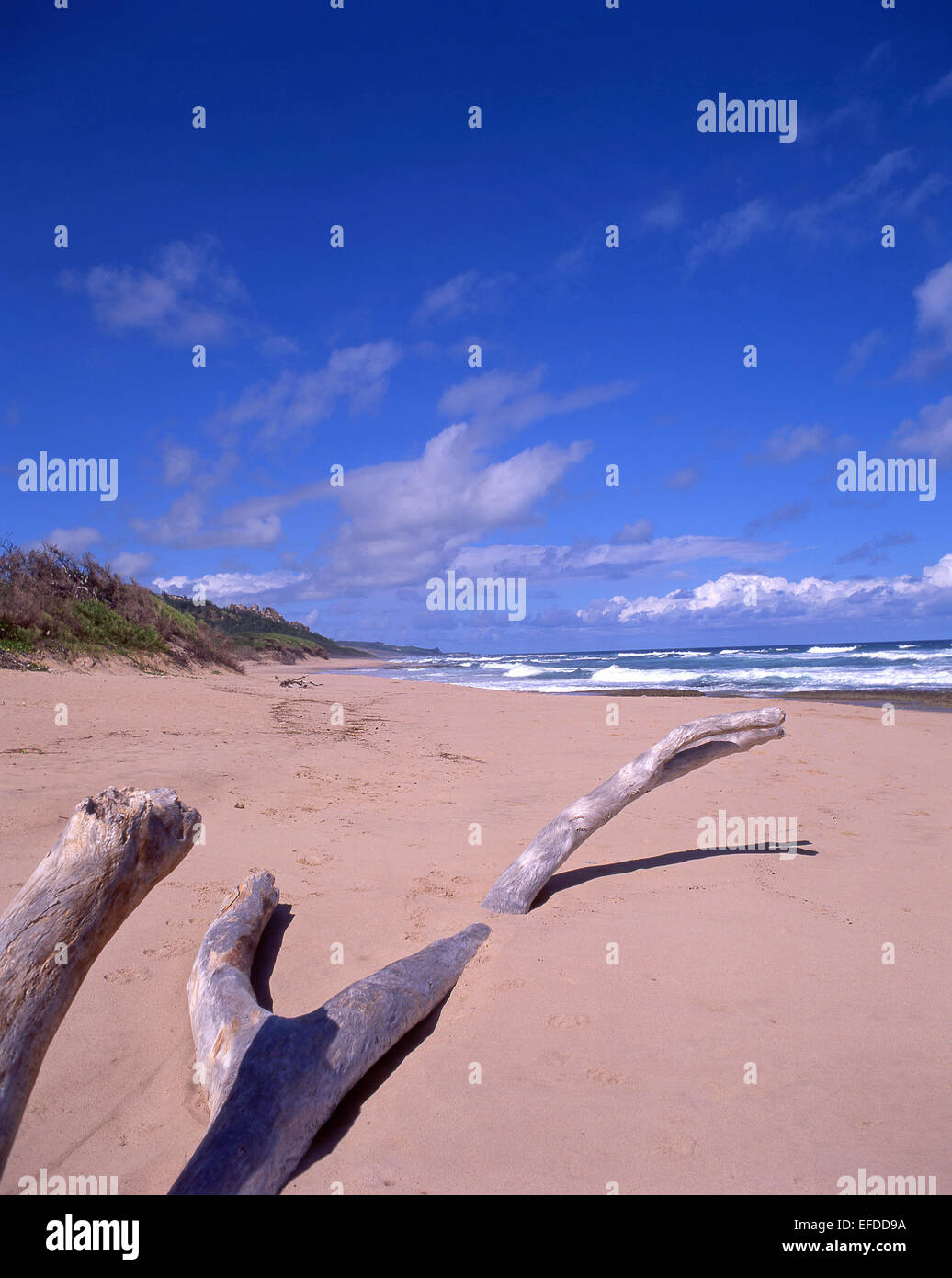 East Coast Beach, Betsabea, la parrocchia di San Giuseppe, Barbados, Piccole Antille, dei Caraibi Foto Stock