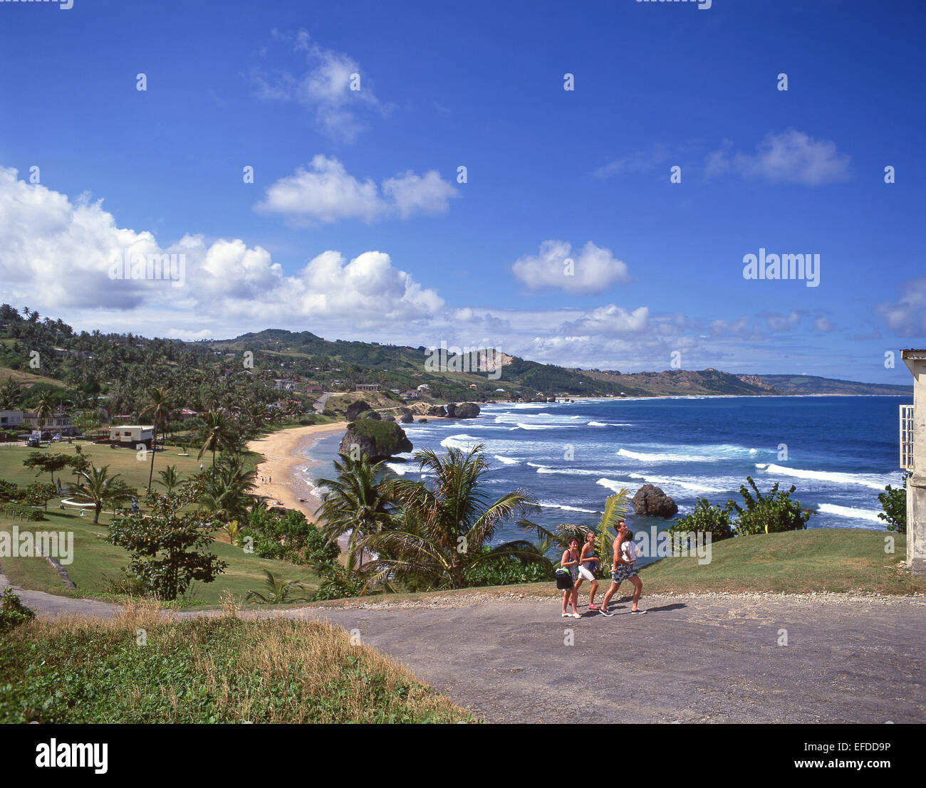 Robusto east coast, Betsabea, la parrocchia di San Giuseppe, Barbados, Piccole Antille, dei Caraibi Foto Stock