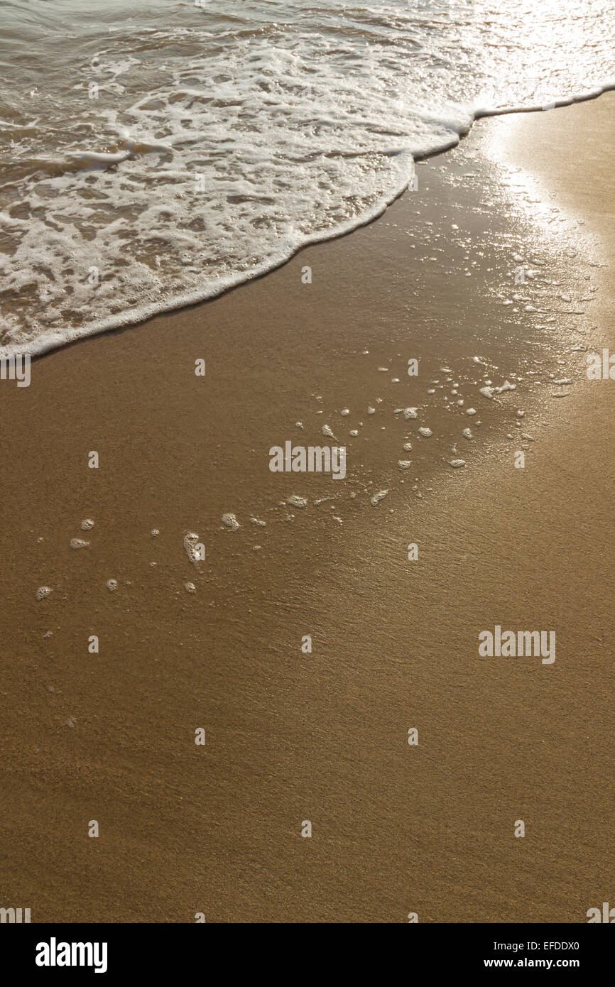 Calma sfondo onda. estate mare, bella sabbia soggy Foto Stock
