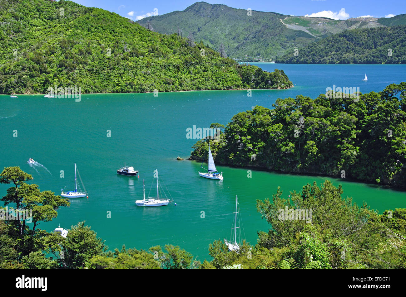 Whenuanui Bay da Queen Charlotte Drive, Queen Charlotte Sound, Marlborough Sounds, Marlborough, Isola del Sud, Nuova Zelanda Foto Stock