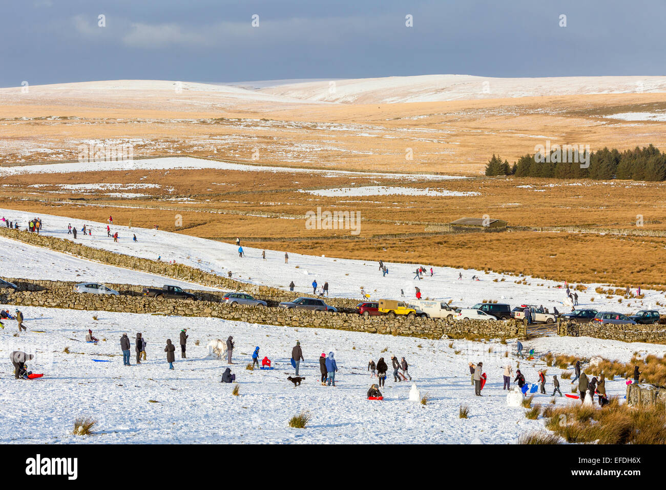 Parco Nazionale di Dartmoor, Devon, Regno Unito. 01 feb 2015. Meteo REGNO UNITO: Famiglie sci e slittino giù per la collina dopo la rara nevicata nel Parco Nazionale di Dartmoor vicino Princetown, Devon, Inghilterra, Regno Unito, Europa. Credito: Sebastian Wasek/Alamy Live News Foto Stock