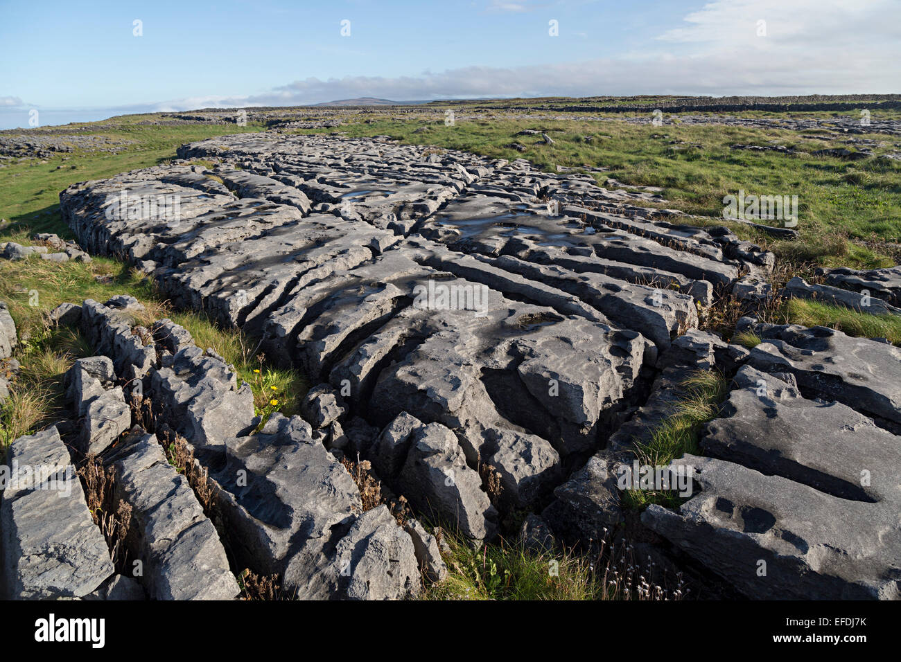 Weathered pavimentazione di pietra calcarea, Doolin, Co. Clare, Irlanda Foto Stock