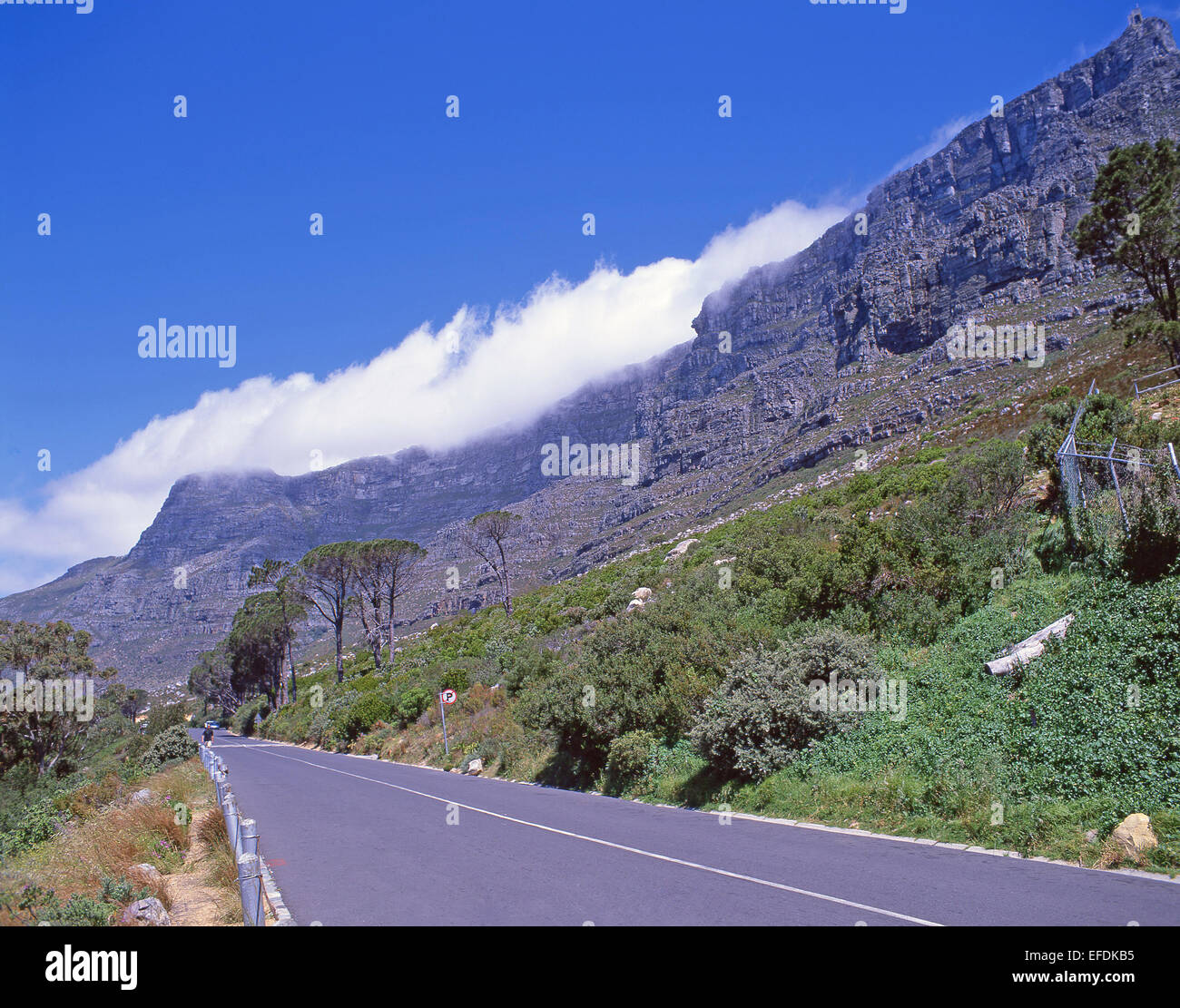 Strada di Montagna della Tavola per funivia stazione, Cape Town, Provincia del Capo occidentale, Repubblica del Sud Africa Foto Stock