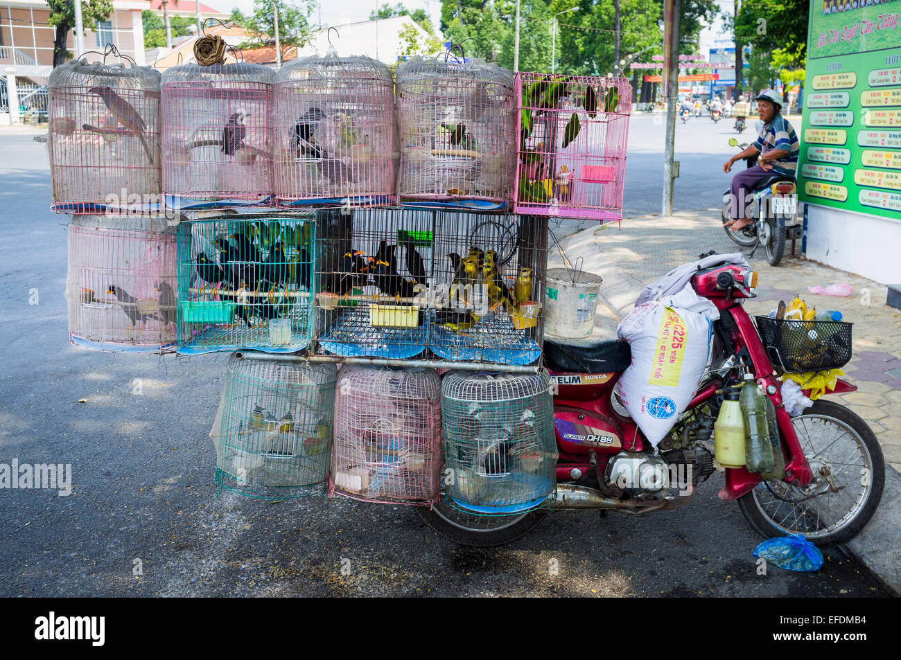 Can Tho Mercato, Delta del Mekong, Vietnam Foto Stock