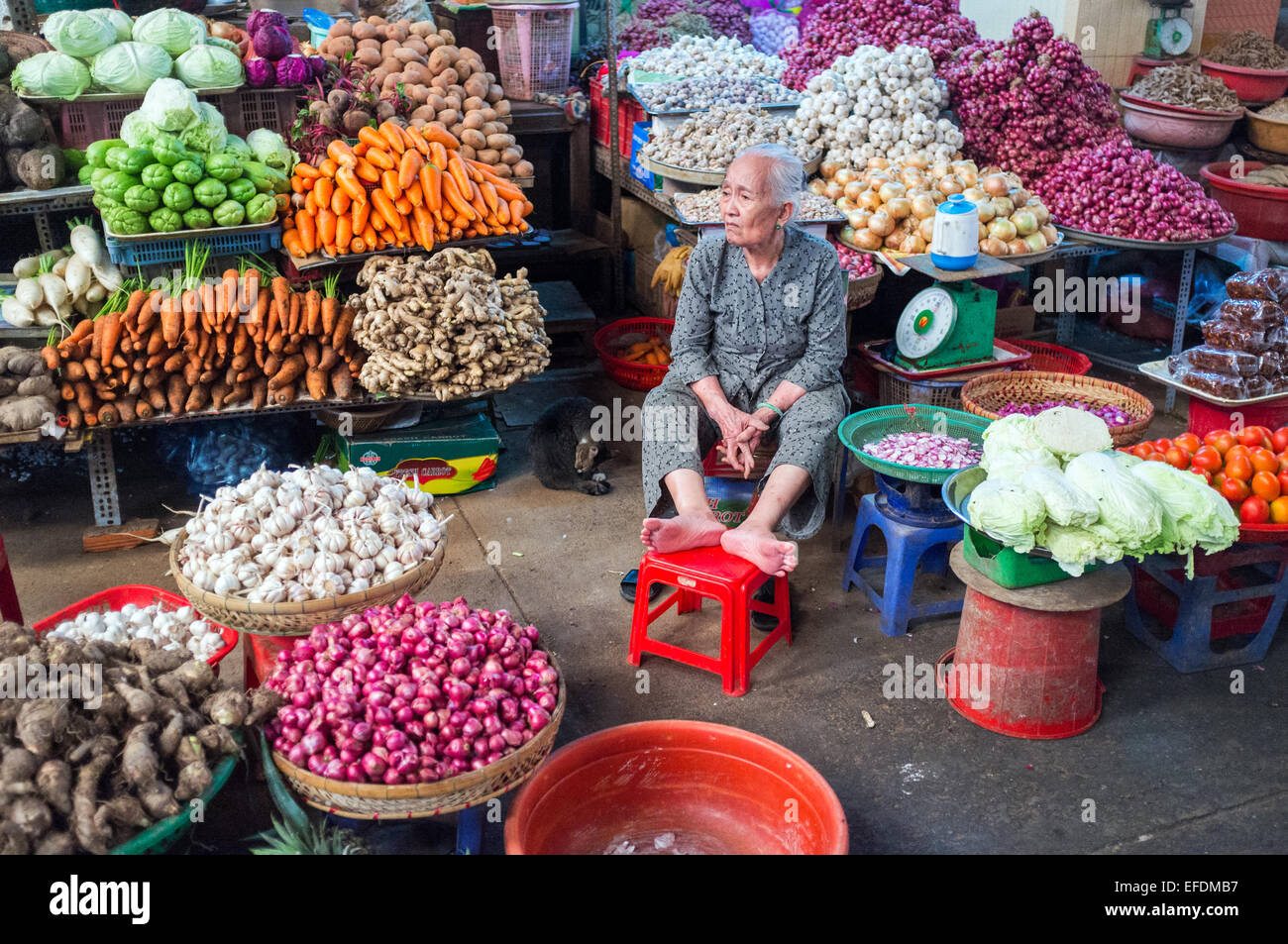 Can Tho Mercato, Delta del Mekong, Vietnam Foto Stock
