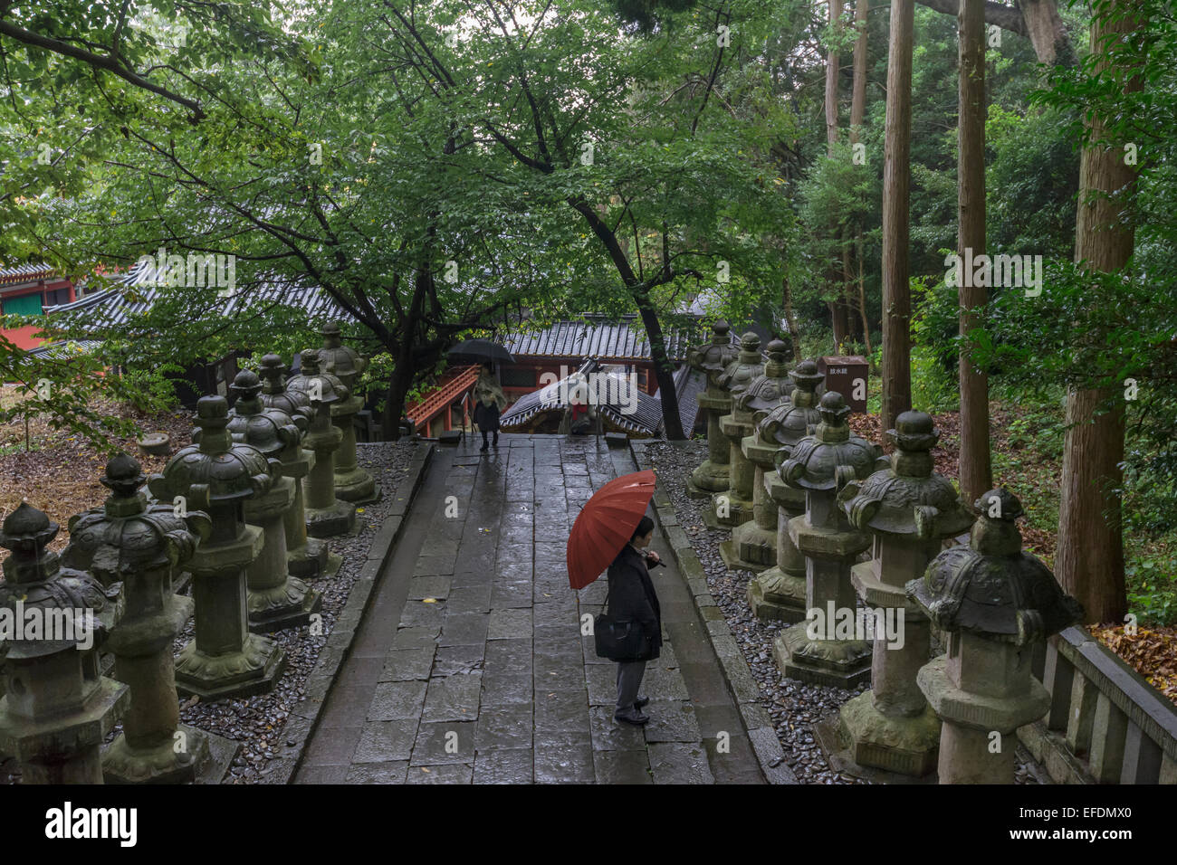 Lanterne di pietra vicino al luogo di sepoltura dei Tokugawa Ieyasu, Kunozan Tosho-go-sacrario scintoista, Shizuoka, Giappone Foto Stock