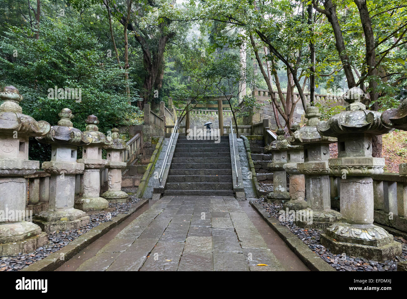 Lanterne di pietra sul percorso verso il luogo di sepoltura dei Tokugawa Ieyasu, Kunozan Tosho-go-sacrario scintoista, Shizuoka, Giappone Foto Stock