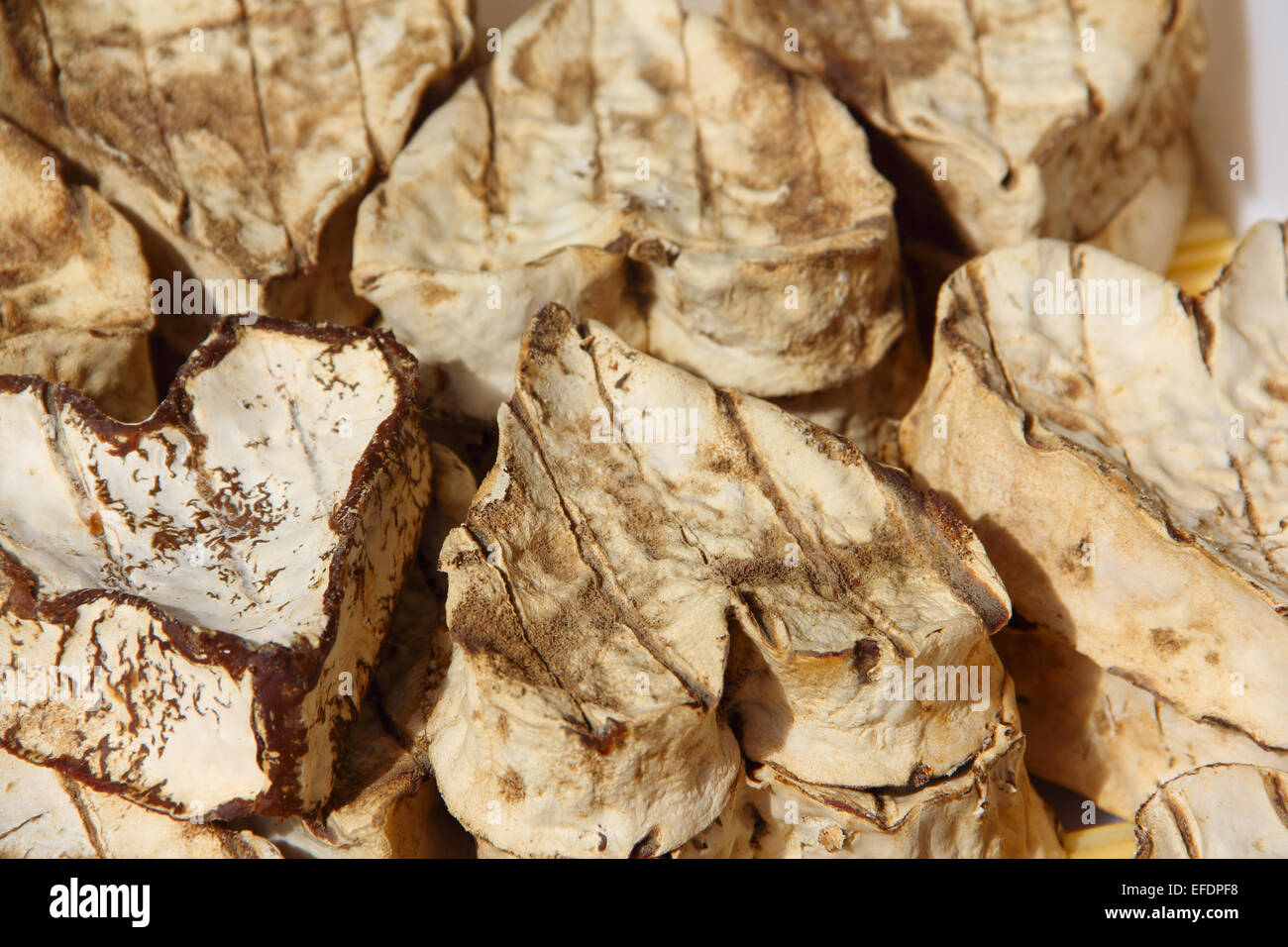 Neuchatel tradizionale formaggio nel fieno per la vendita sul mercato della Normandia, Francia Foto Stock