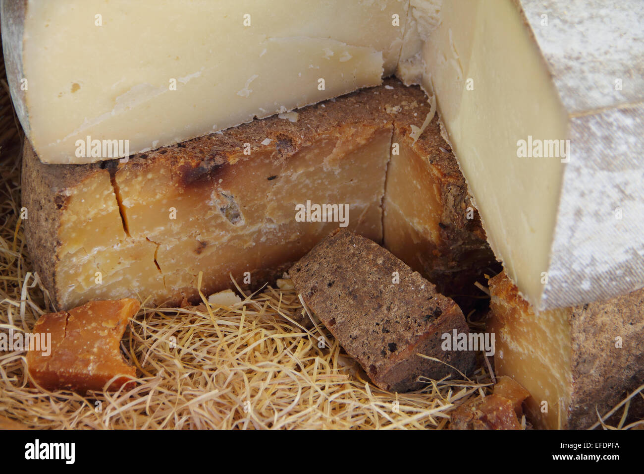 Tradizionale formaggio francese nel fieno per la vendita sul mercato della Normandia, Francia Foto Stock