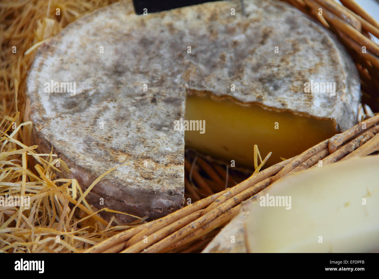 Tradizionale formaggio francese nel fieno per la vendita sul mercato della Normandia, Francia Foto Stock