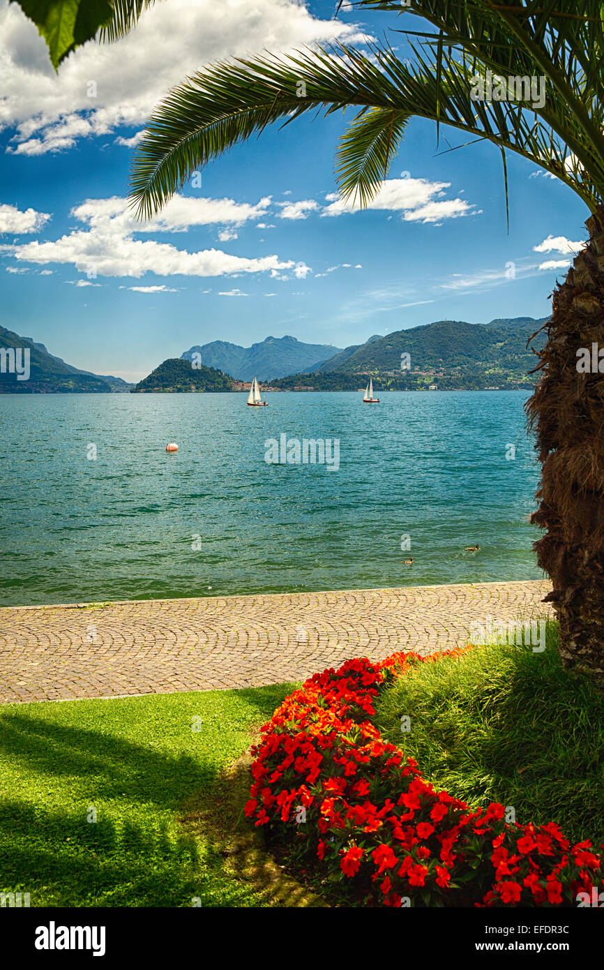 Isualizzare del Lago di Como a partire da un parco, Maggiore, il lago di Como, Lombardia, Italia Foto Stock