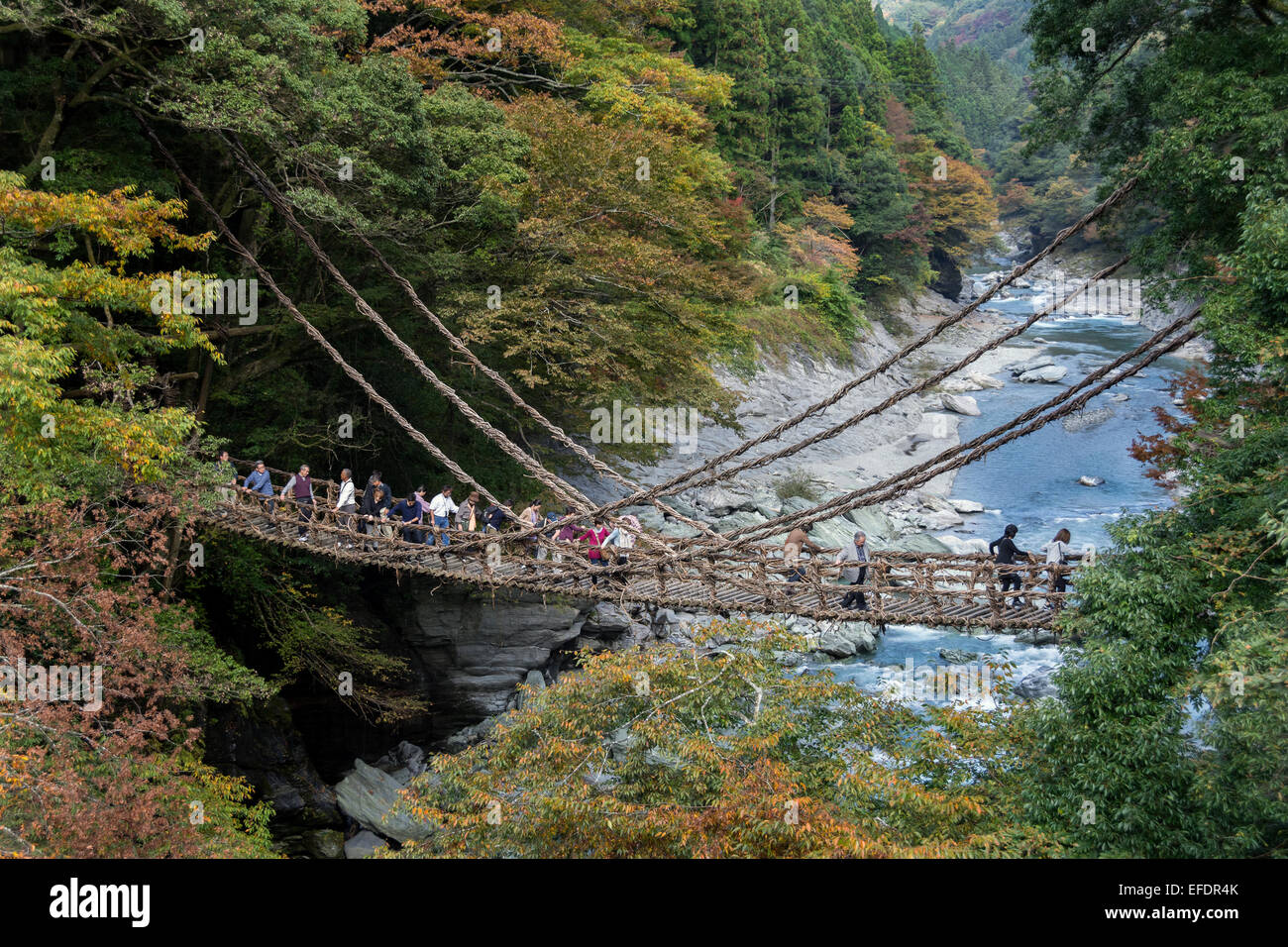 Il Kazuabashi ponte di sospensione, l'isola di Shikoku, Giappone Foto Stock