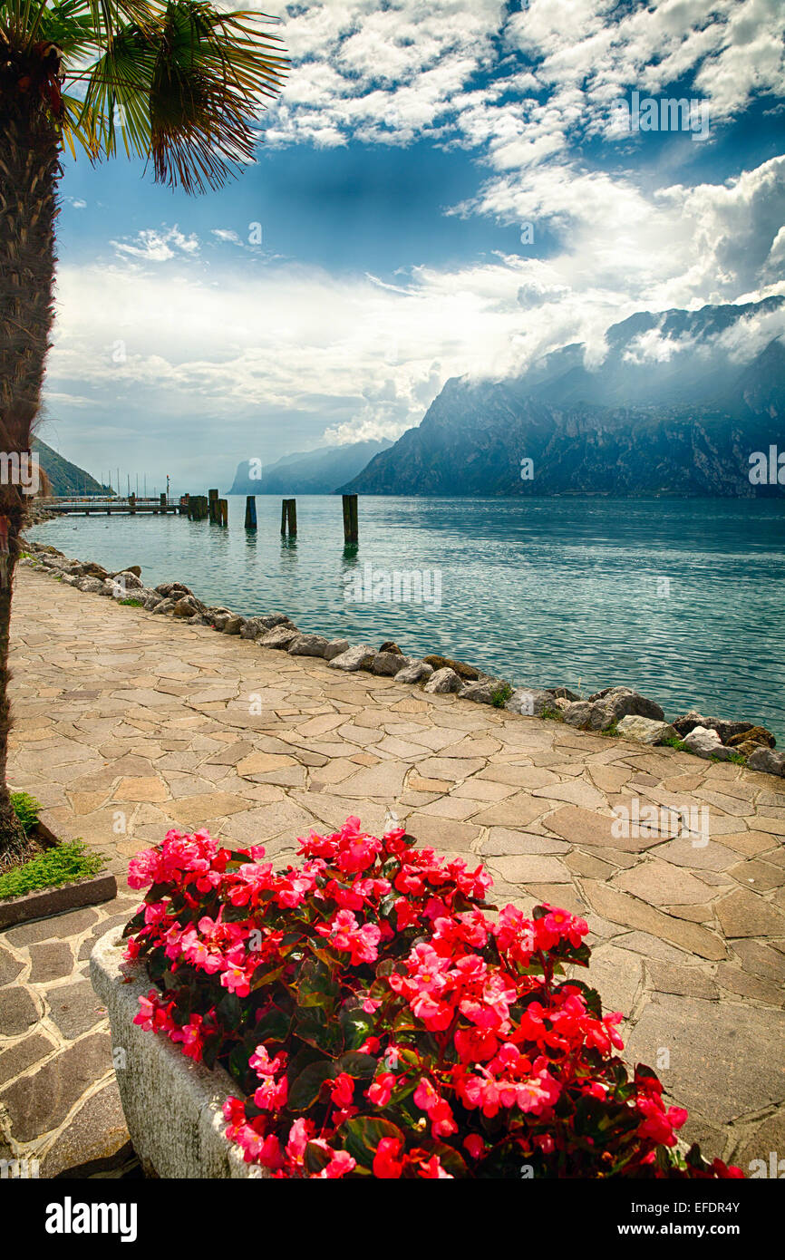 Vista lago con un albero di palme e fiori di colore rosso, Nago-Torbole, Lago di Garda, Italia Foto Stock