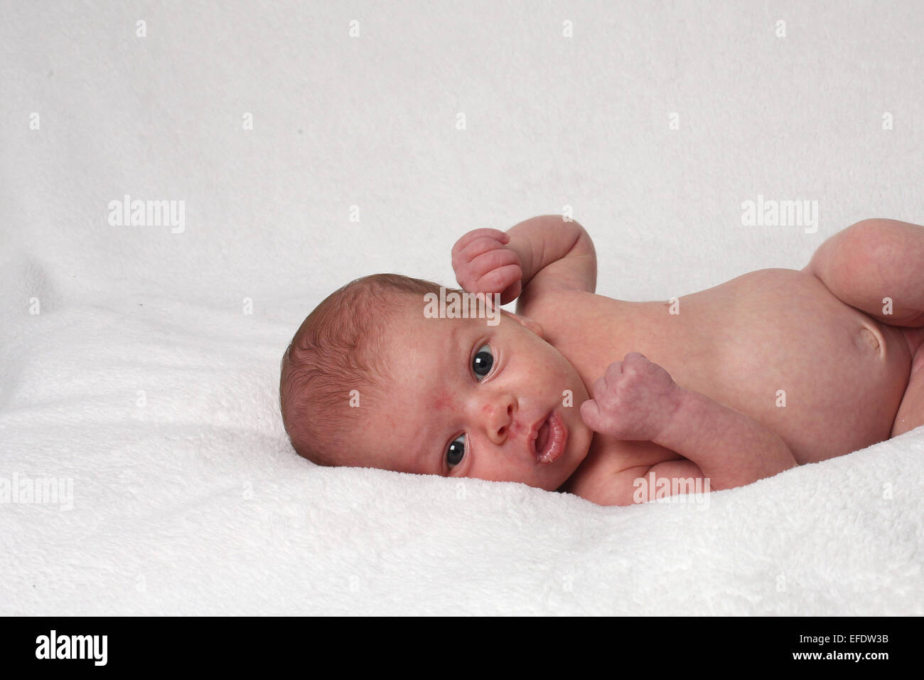 Un ritratto in studio di tre settimane vecchio bambina. Foto Tim Clayton Foto Stock