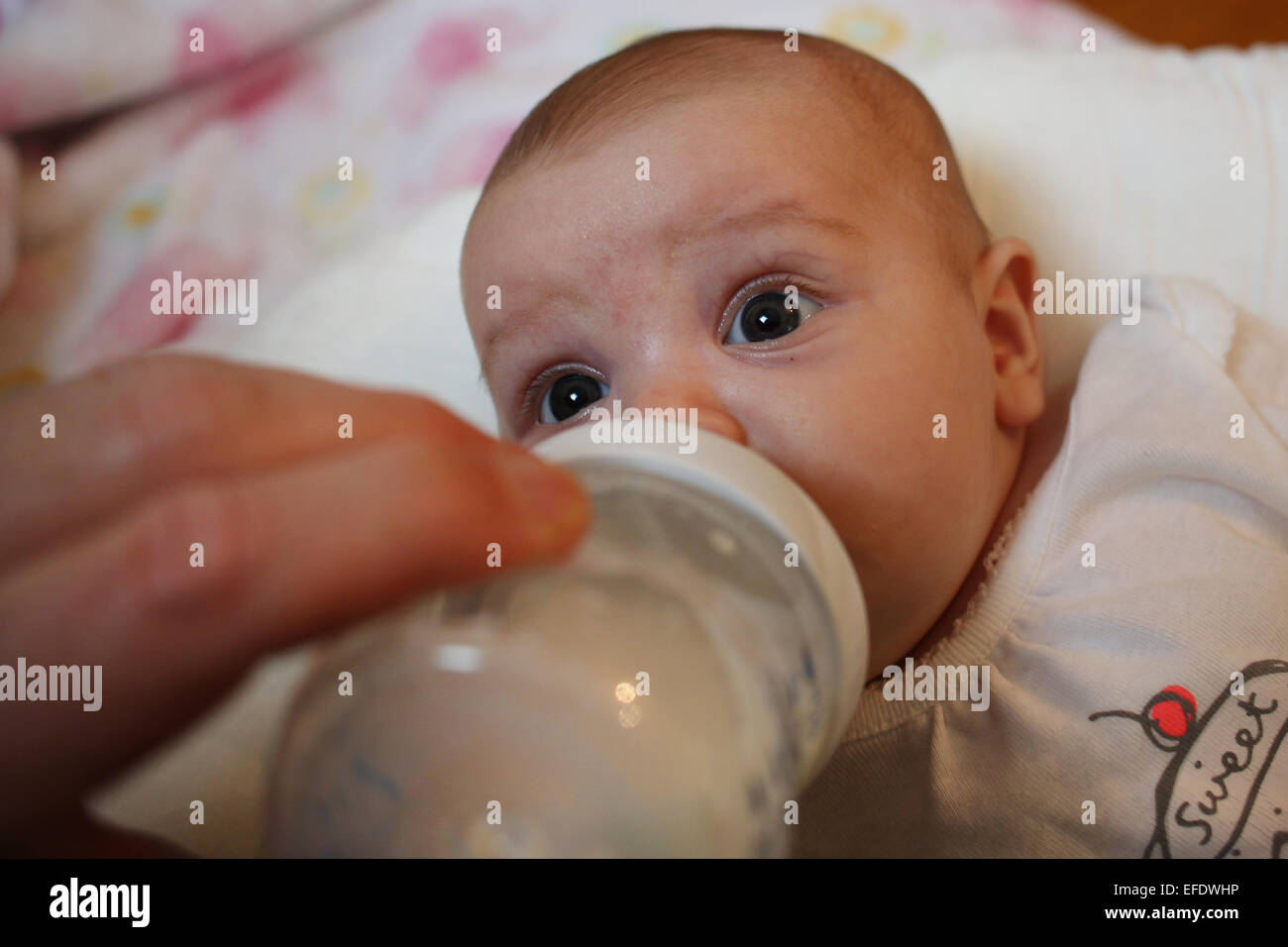 A dieci settimane vecchio Baby girl bottiglia è alimentato da suo padre. Foto Tim Clayton Foto Stock