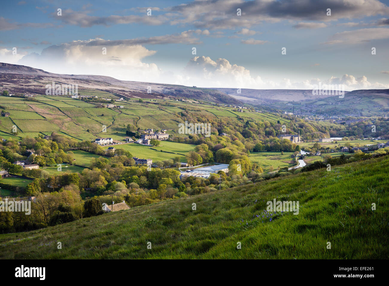 Una serata estiva a piedi vicino a Slaithwaite Foto Stock