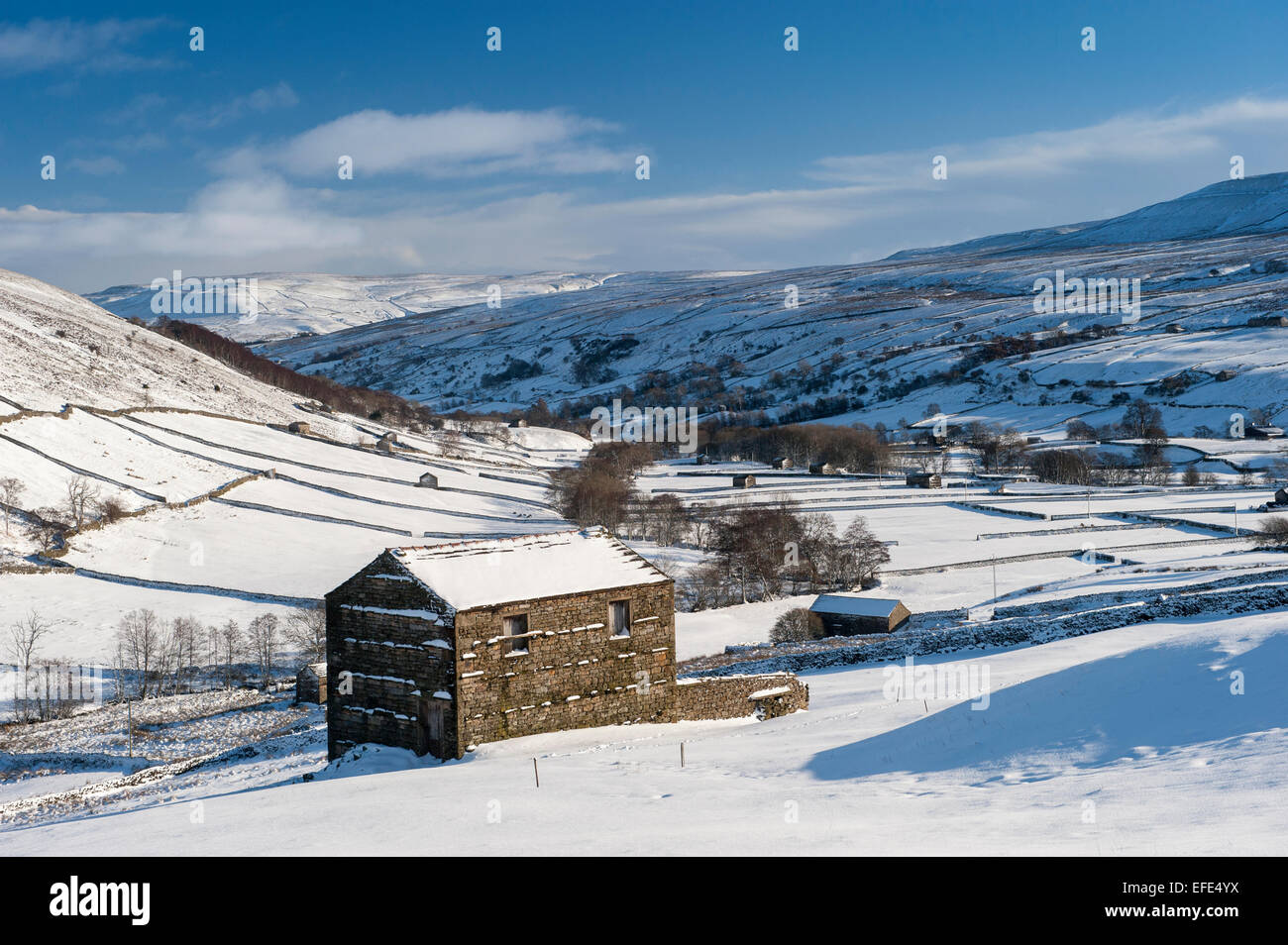 Tradizionale di pietra fienili in Swaledale superiore dopo una tempesta di neve, Yorkshire Dales, UK. Foto Stock