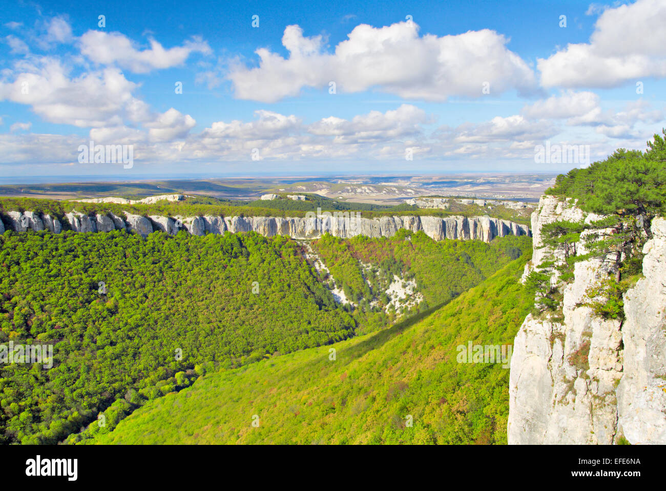 Il verde del Grand Canyon nelle montagne della Crimea Foto Stock