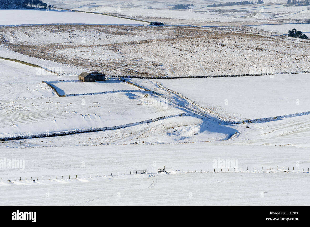 Farmland in inverno Foto Stock